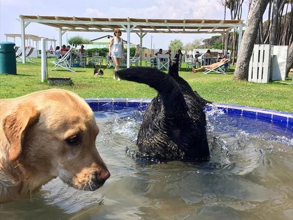 Bau Bau Beach Village - foto 39868.jpg