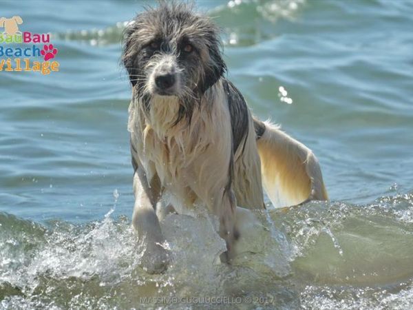 Bau Bau Beach Village - foto 39870.jpg