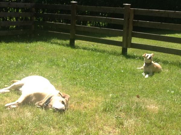 Casa... e Cuccia Lago di Ledro - foto 39944.jpg