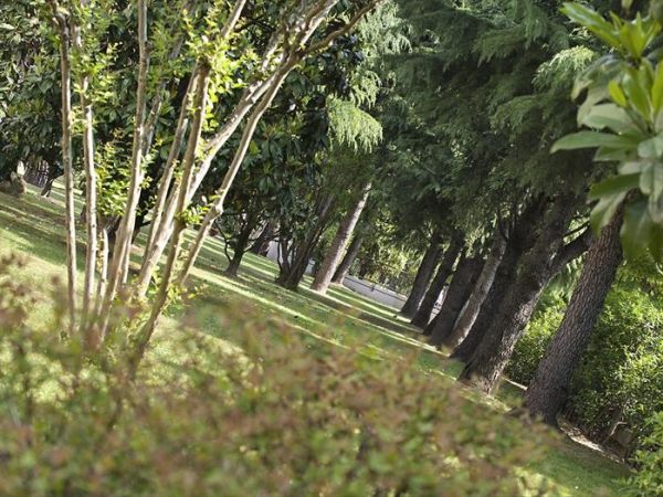 Continental Terme Hotel - foto 40023.jpg