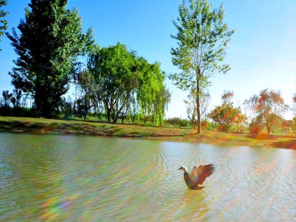 Villa Toscana  - foto 40185.jpg