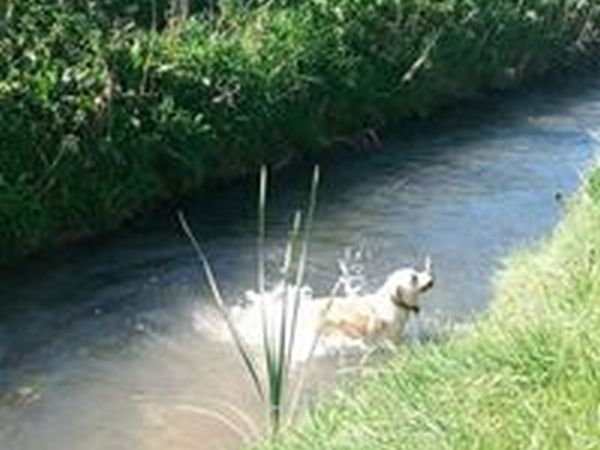 Villa Toscana  - foto 40199.jpg