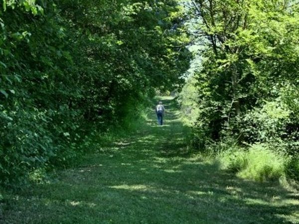 Villa Mozart - foto 40254.jpg