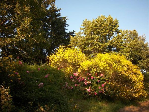 Villa Mozart - foto 40269.jpg