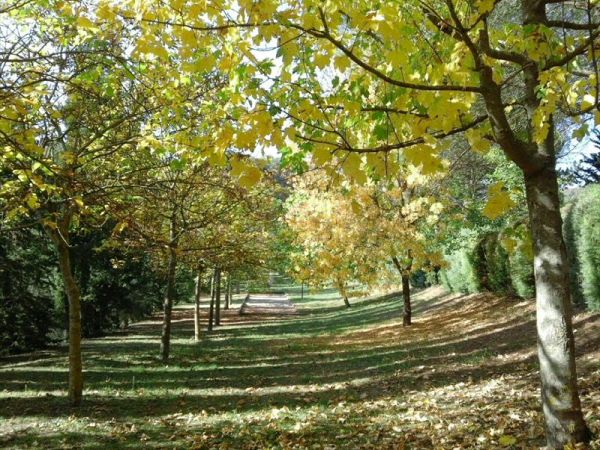 Villa Mozart - foto 40304.jpg