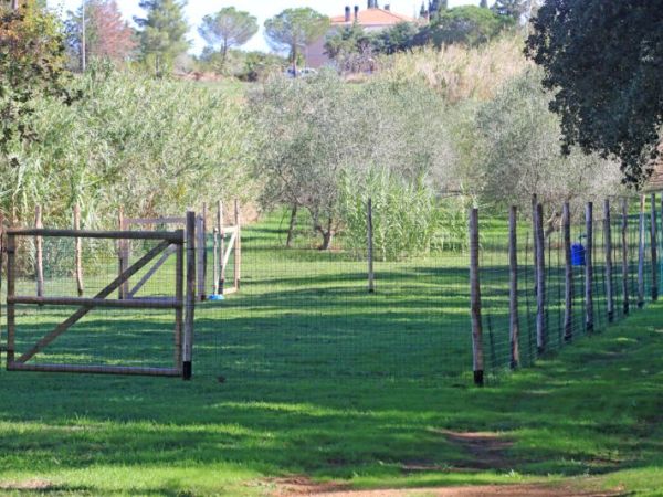 Casa Vacanze La Sainella - foto 40340.jpg