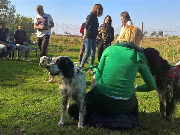 Casa Vacanze La Sainella - foto 40343.jpg