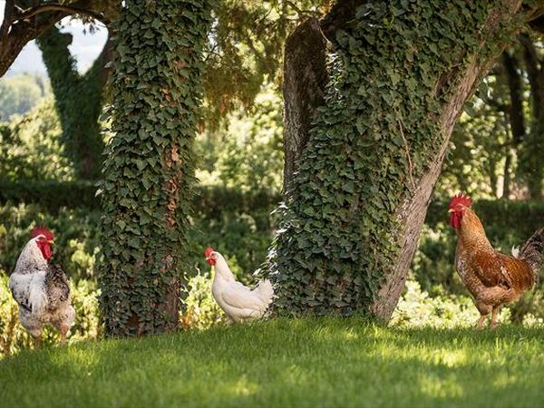 Hotel Villa Montegranelli - foto 40394.jpg