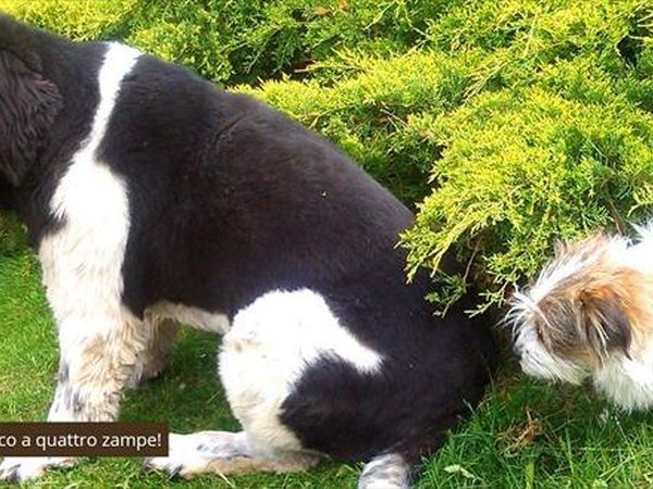 Ledro Service Tour - foto 40509.jpg