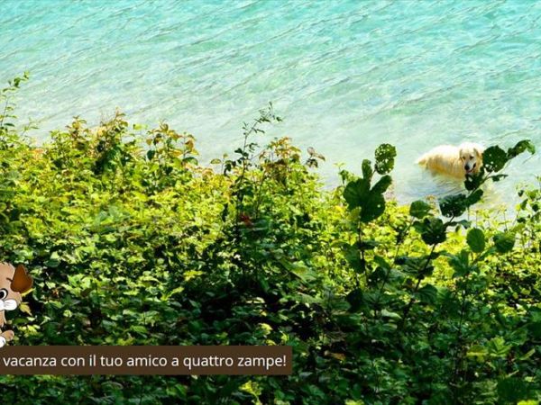 Ledro Service Tour - foto 40511.jpg