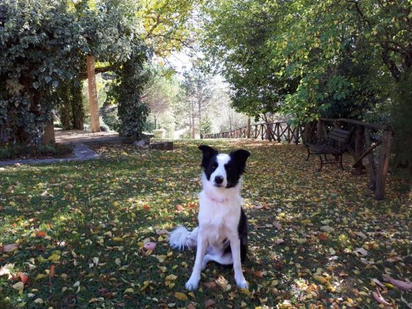 Villa Mozart - foto 40582.jpg