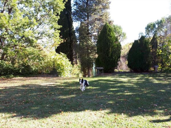 Villa Mozart - foto 40584.jpg