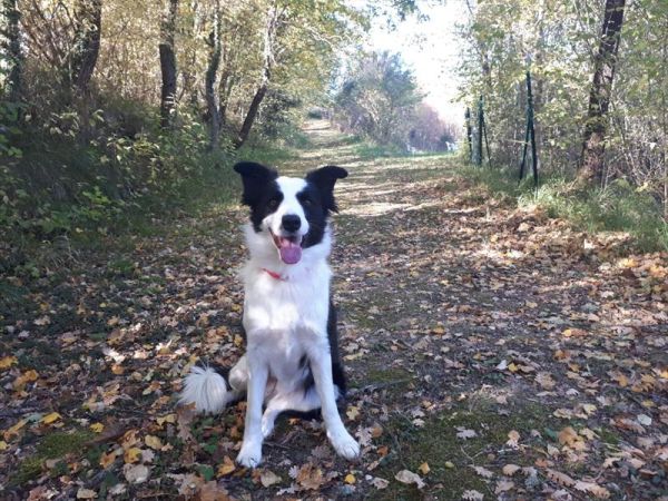 Villa Mozart - foto 40585.jpg