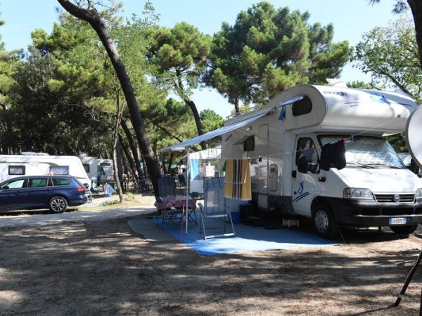 Camping mare e pineta  - foto 40587.jpg
