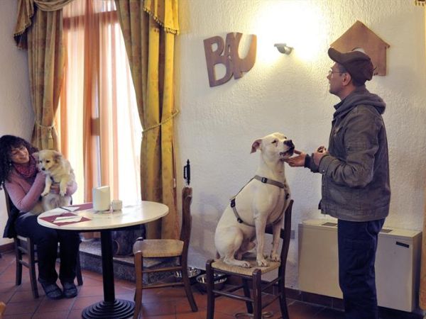 Hotel San Marco  - foto 40663.jpg