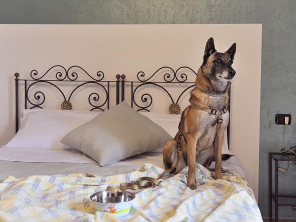 Hotel San Marco  - foto 40670.jpg