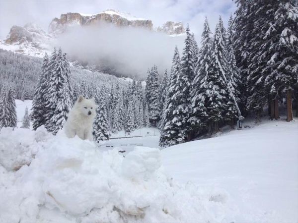 Hotel Lupo Bianco Wellness & Walking - foto 40711.jpg