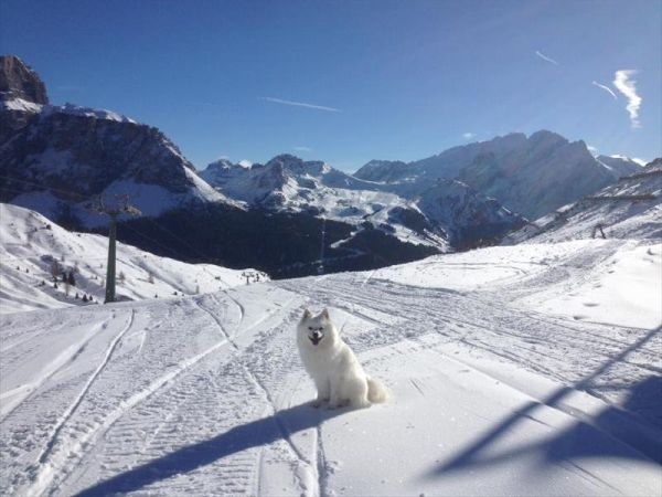 Hotel Lupo Bianco Wellness & Walking - foto 40712.jpg