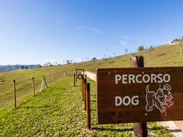 Agriturismo Ca Licozzo - foto 40786.jpg