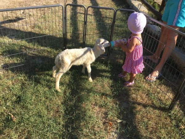 Agriturismo Ca Licozzo - foto 40813.jpg