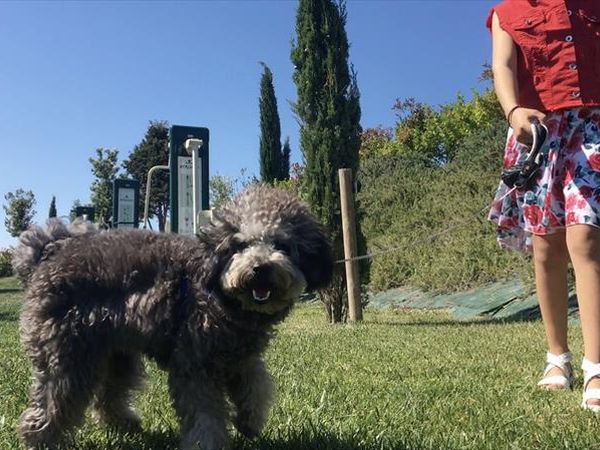 Villa Gens Camuria - foto 40841.jpg