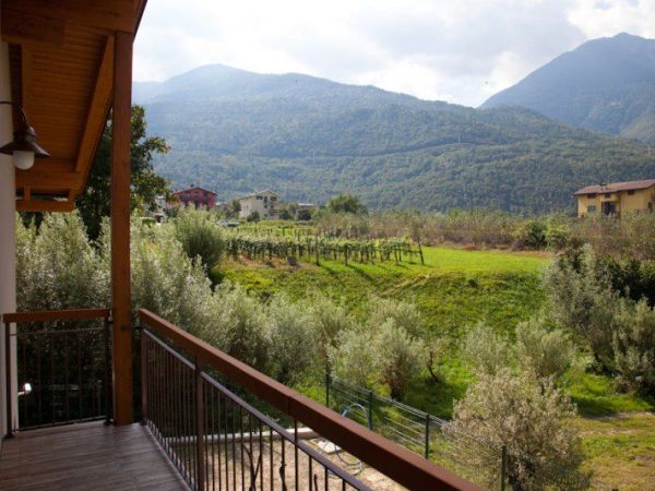 Agriturismo Terra del Sole - foto 40882.jpg