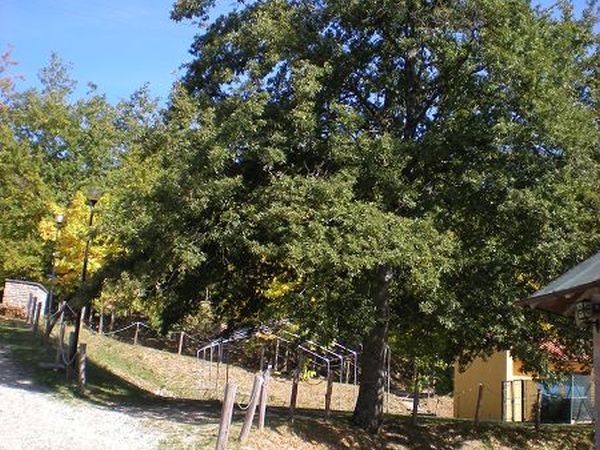 Camping Village La Verna - foto 2114.jpg