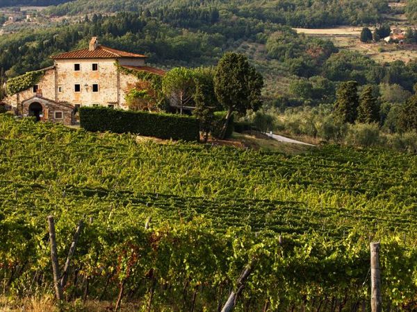 Agriturismo Fattoria Lavacchio - foto 40994.jpg