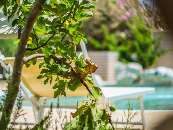 Agricampeggio Torre Sabea - foto 41002.jpg