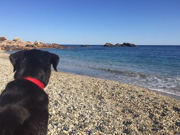 Appartamenti Porto Azzurro - foto 41020.jpg