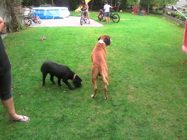 Un Posto Speciale - foto 41034.jpg