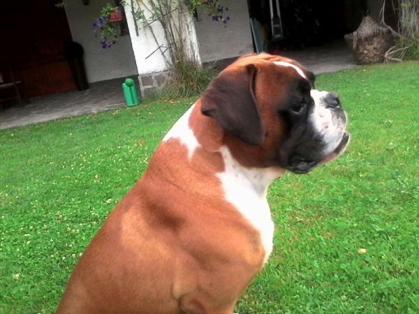 Un Posto Speciale - foto 41036.jpg