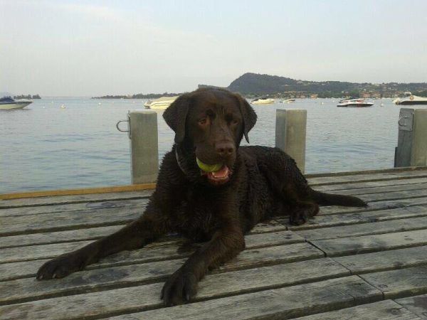 Camping Village Europa Silvella - foto 41106.jpg