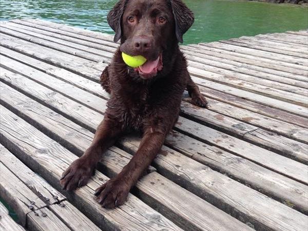 Camping Village Europa Silvella - foto 41109.jpg