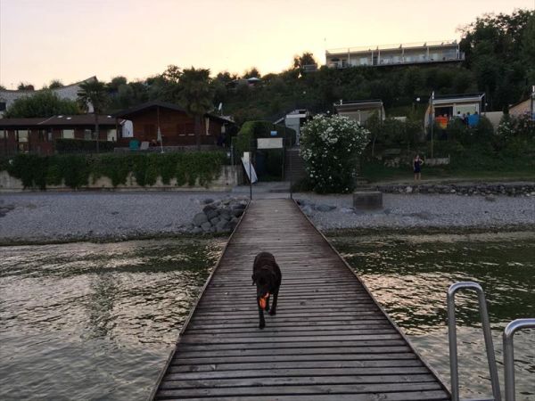 Camping Village Europa Silvella - foto 41110.jpg