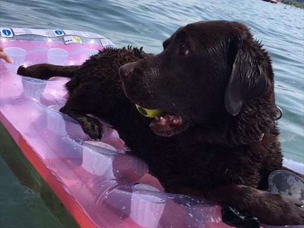 Camping Village Europa Silvella - foto 41111.jpg