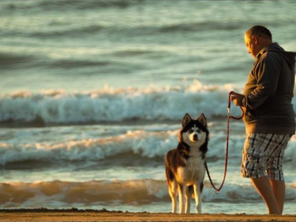 Camping Village Cavallino - foto 41145.jpg