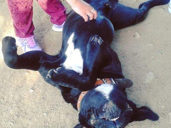 Nuraghe Murtarba - foto 41164.jpg