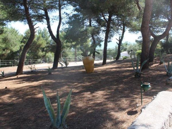 Centro Vacanze Piccolo Friuli - foto 41188.jpg