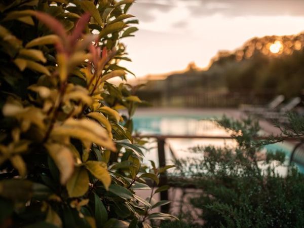 Residenza il Falchetto - foto 41233.jpg