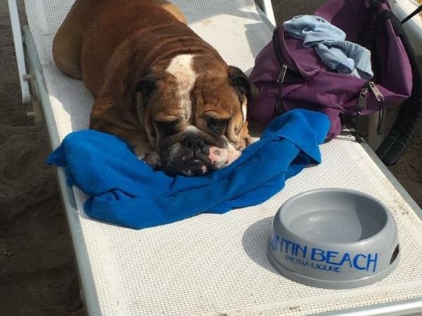 Rintin Beach  - foto 41380.jpg