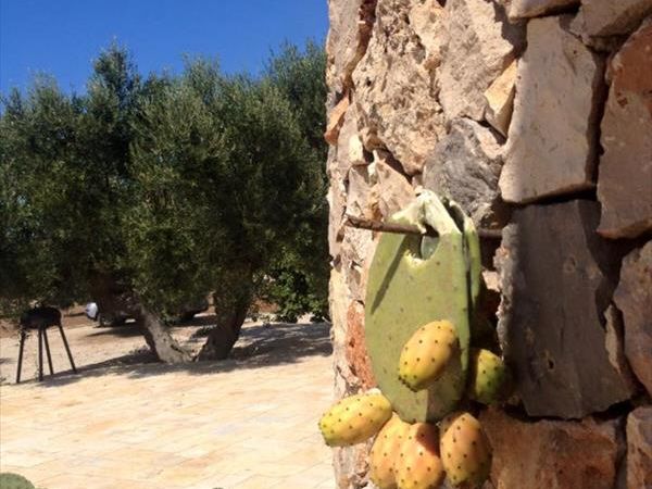 Casa Marta al mare & Trullallero del Salento - foto 41407.jpg