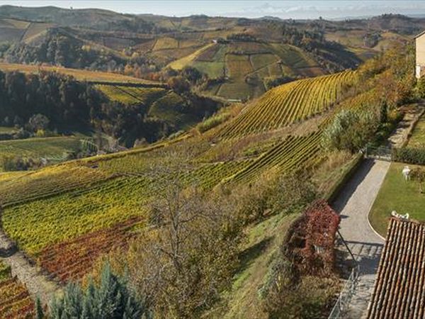 Agriturismo Il Ciliegio - foto 41824.jpg