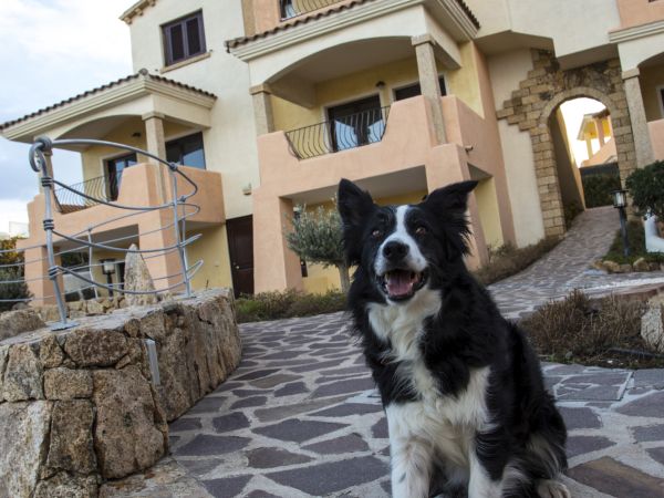 Bados Mare - foto 41841.jpg