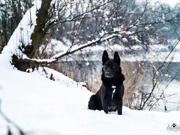 Sonne Active Hotel - foto 41842.jpg