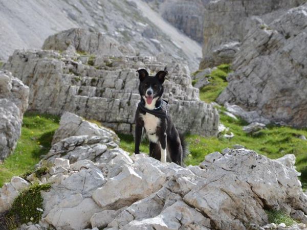 Sonne Active Hotel - foto 41843.jpg