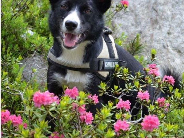 Sonne Active Hotel - foto 41859.jpg