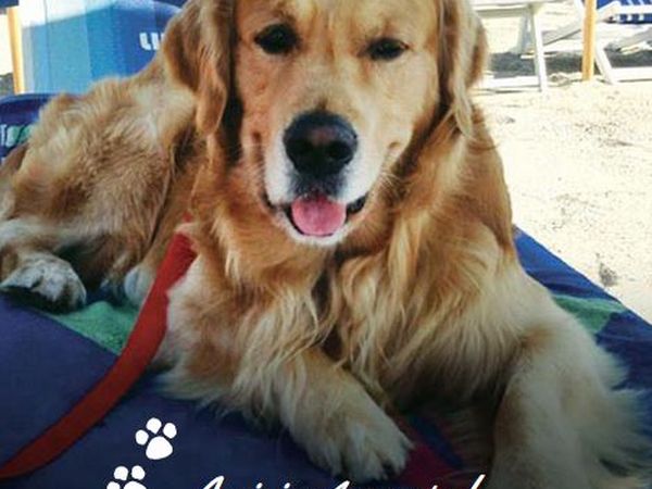 Residence Villa Alda - foto 41861.jpg