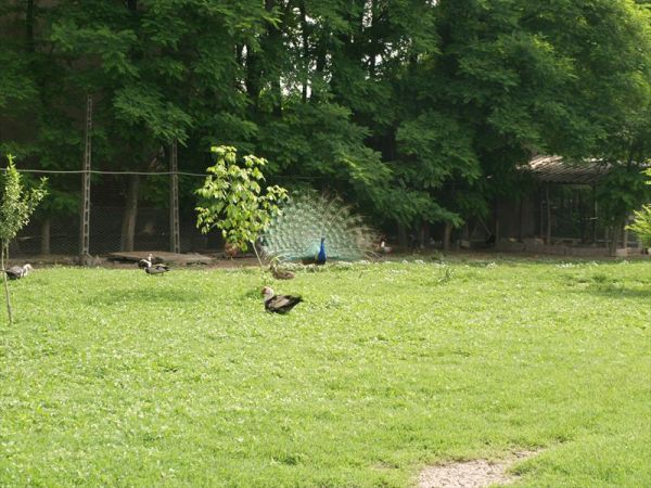 Azienda Agrituristica Valgrande - foto 41882.jpg