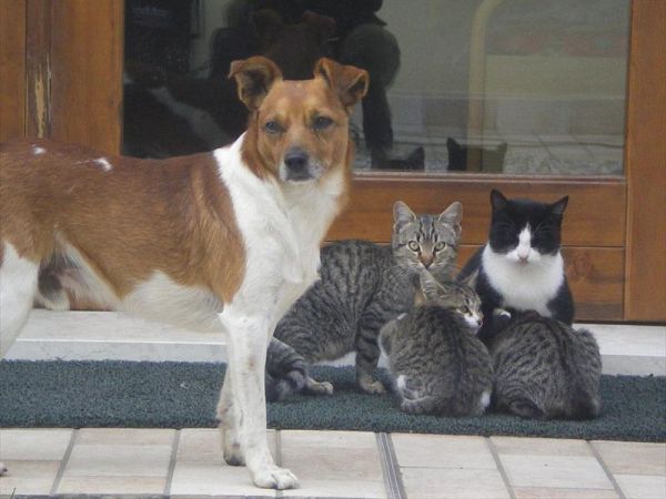 Azienda Agrituristica Valgrande - foto 41890.jpg